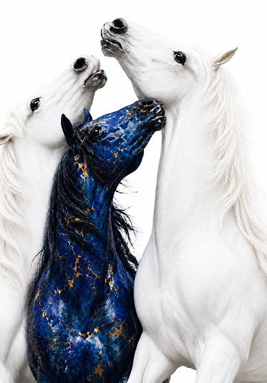 Blue horse portrait